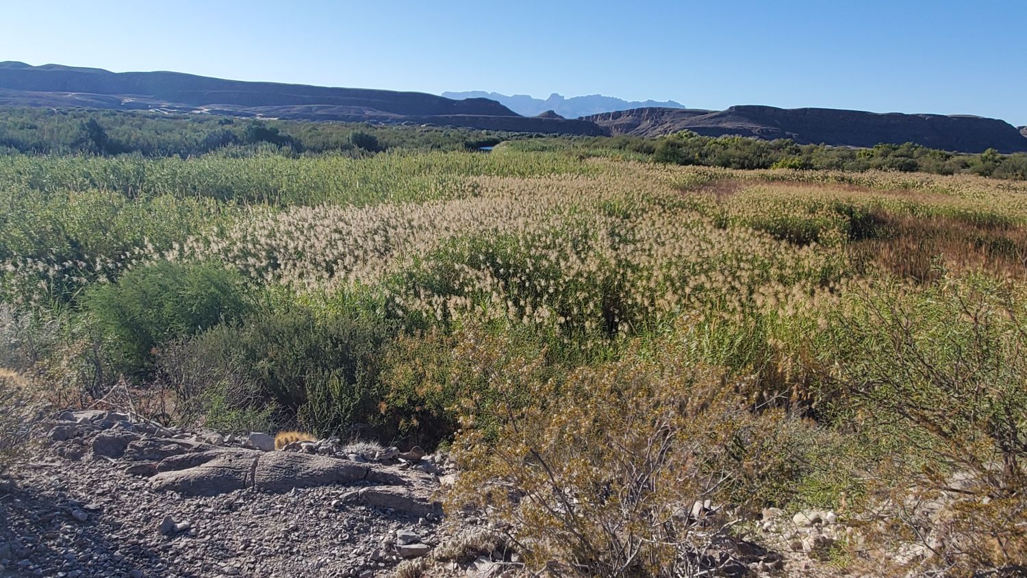 Rio Grand Nature Hike 